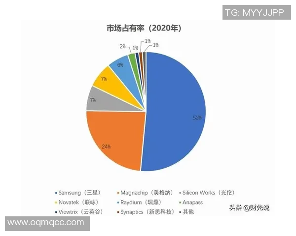 深圳排球队中路突破的优势与不足分析及未来发展方向探讨